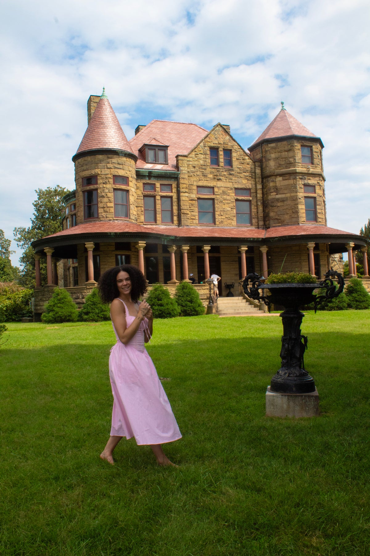 Once Upon a Rose Dress