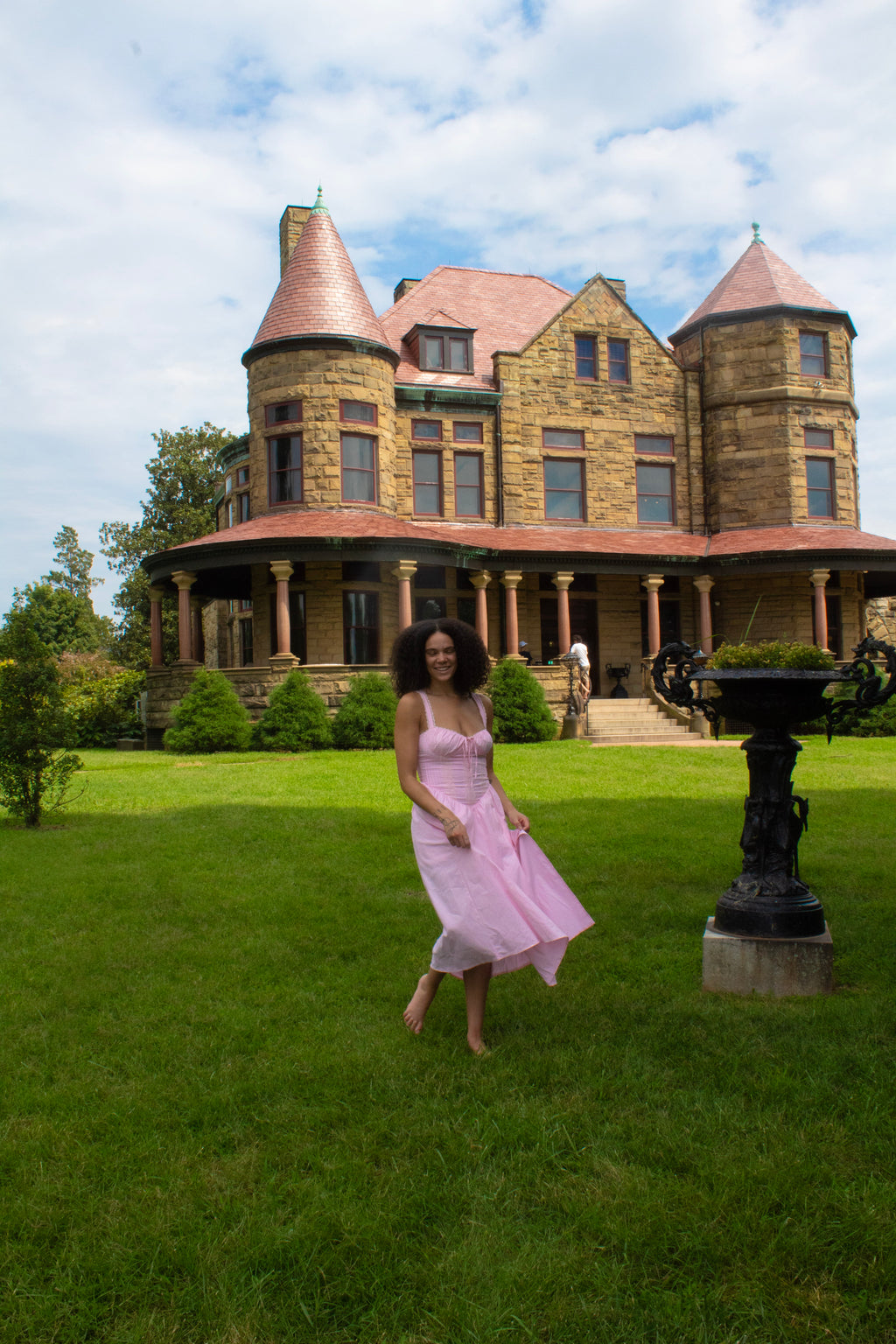 Once Upon a Rose Dress