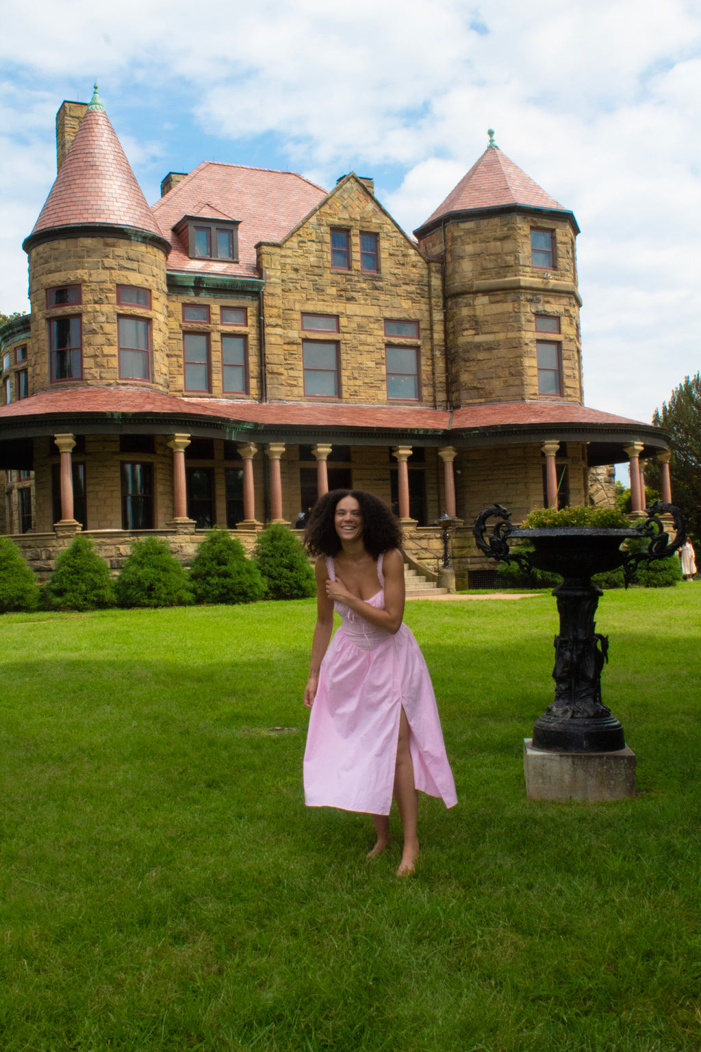 Once Upon a Rose Dress