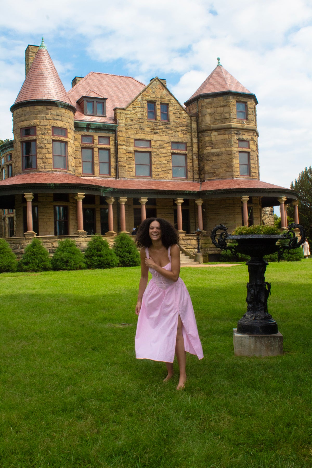 Once Upon a Rose Dress