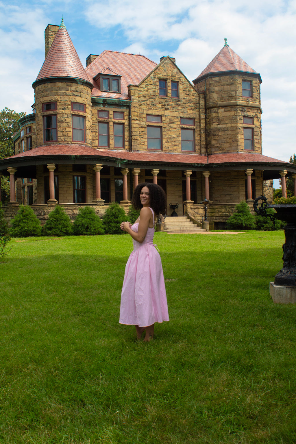 Once Upon a Rose Dress